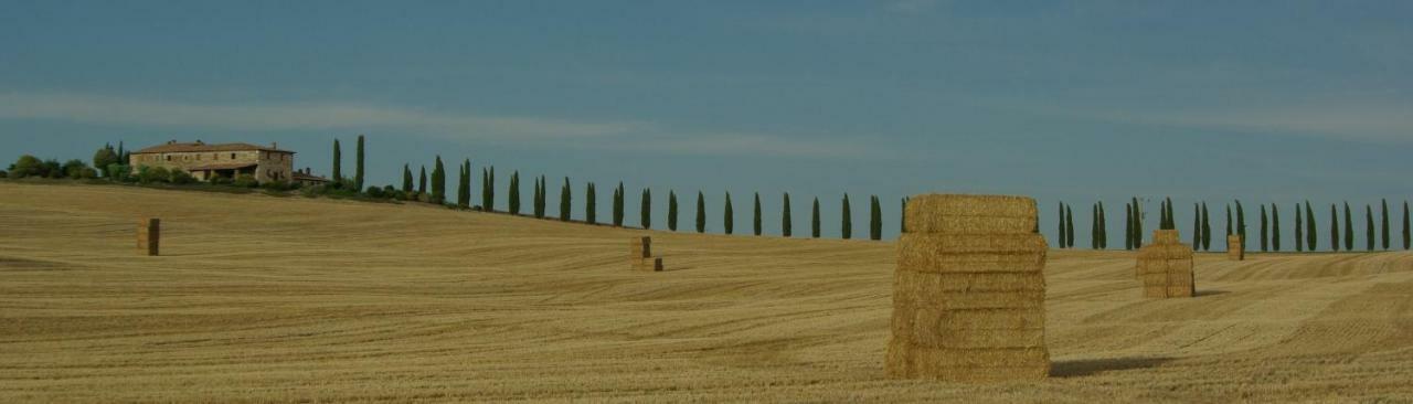 La Casa Del Susino Villa Castiglione dʼOrcia Exteriör bild