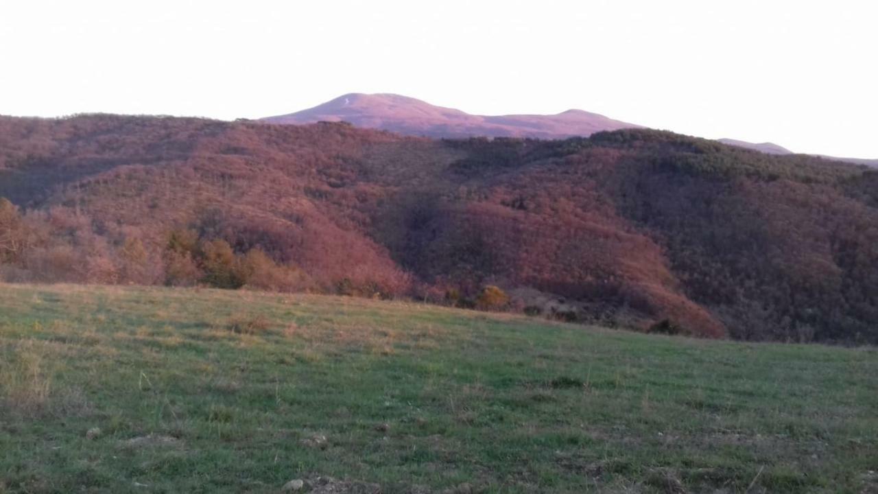 La Casa Del Susino Villa Castiglione dʼOrcia Exteriör bild